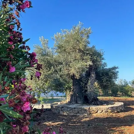 Quinta Vale Caranguejo - Casa Naútica Сasa de vacaciones